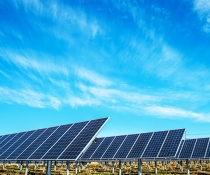 Solar farm solar panels