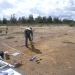 Collecting soil data on Kooragang Island in Newcastle as part of the Soil Monitoring, Evaluation and Reporting project.